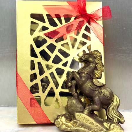 Gallop to Success (Horse)